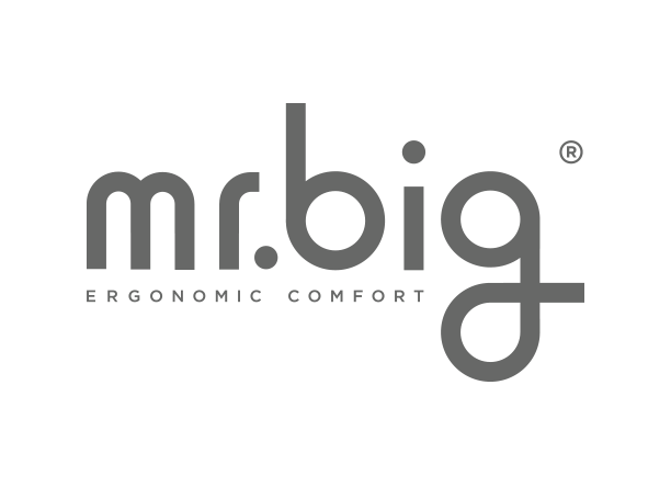 mr.big pillow logo