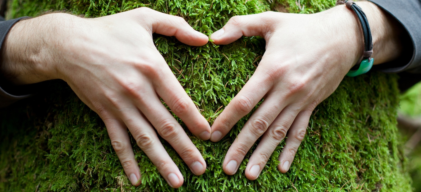 heart shape hands on grass